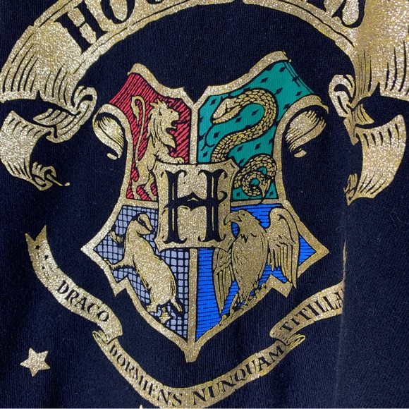 Harry Potter Glittery Hogwarts Crest Hooded Sweatshirt - Picture 3 of 11